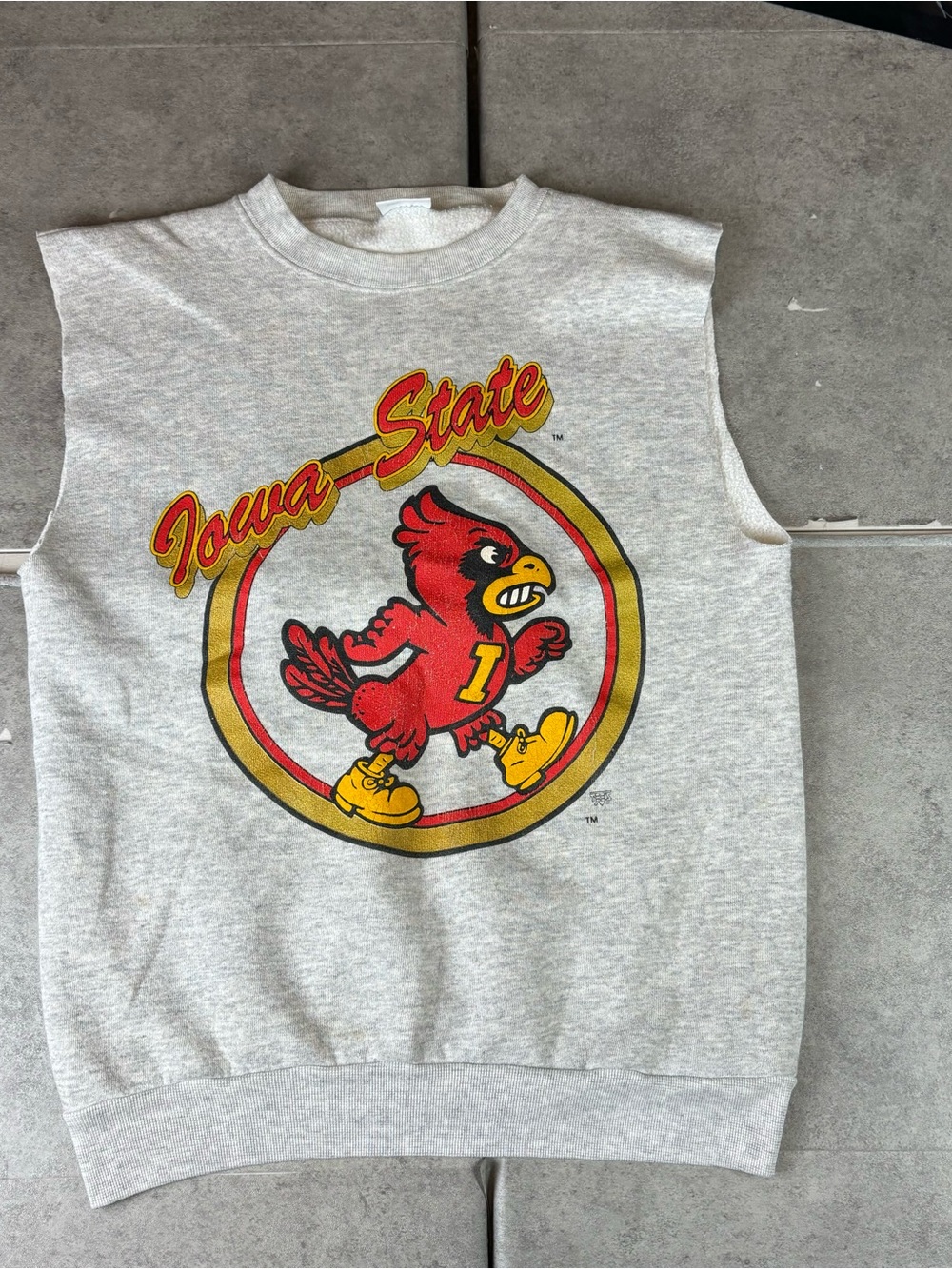 Vintage 90s gray Iowa state cut off sweatshirt